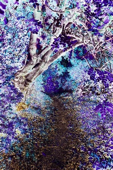N 259F